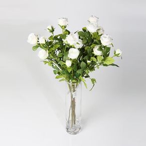 Single Poland Rose White 5 Head