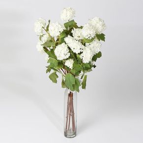 Single Guelder rose 4 Head