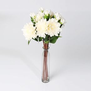 Single Dahlia Pinnata 2 Head