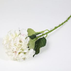 Single Hydrangea