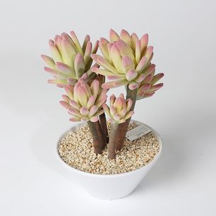 Lotus in melamine pot