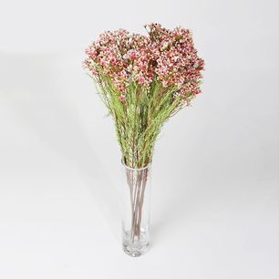 Single Plum Blossom 3 Head