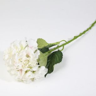 Single Hydrangea