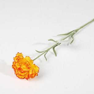 Single Carnation With Forst