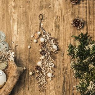 Pine Cones Hanging Branch