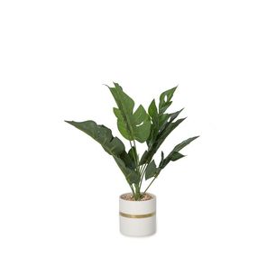 Monstera Pot